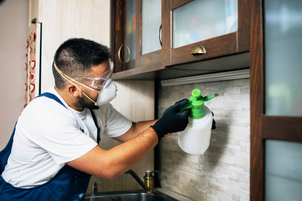 Best Affordable Pest Control Services  in Freeland, PA
