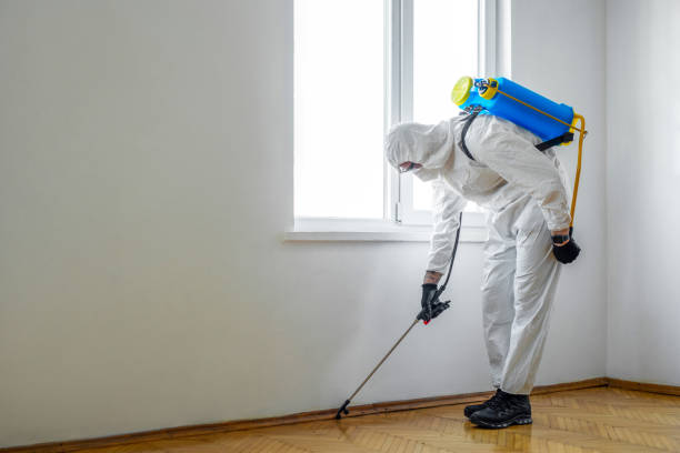Best Affordable Pest Control Services  in Freeland, PA