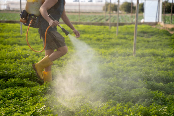 Best Best Pest Control Companies  in Freeland, PA